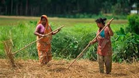 Traditional Agriculture to be Diversified in UP for Farmers Prosperity