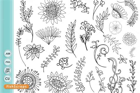 WildFlower Outlines + Silhouettes ~ Illustrations on Creative Market