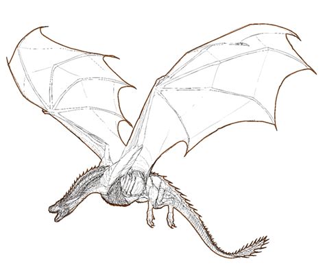 Line Drawing Dragon at GetDrawings | Free download