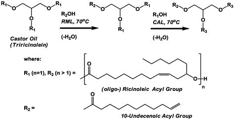 Polymers | Free Full-Text | Modification of oligo-Ricinoleic Acid and Its Derivatives with 10 ...