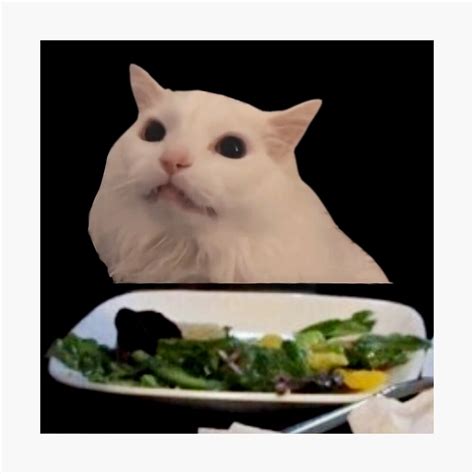 Cat Table Meme Template