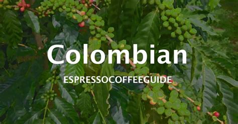 Colombian Coffee Beans - Espresso & Coffee Guide