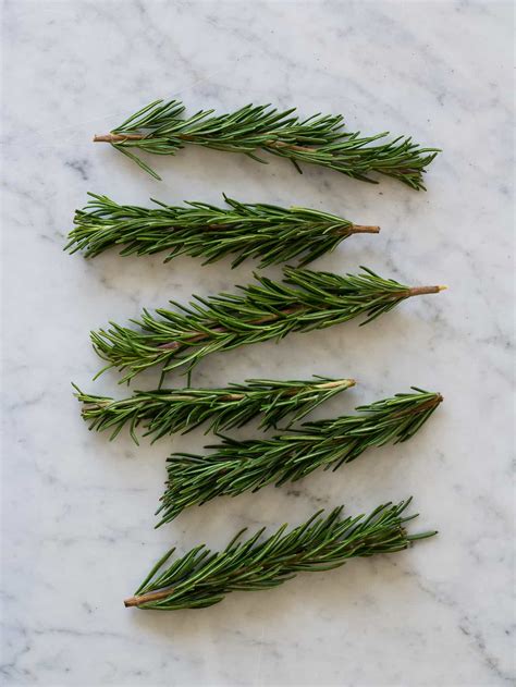 Rosemary Sprig Place Cards | DIY Place Cards | Spoon Fork Bacon