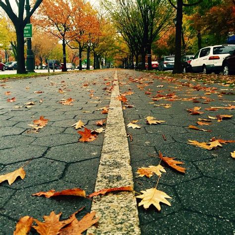 Eastern Parkway 🍂🍂🍂