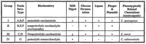 Clostridium botulinum type a