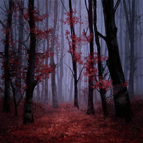 Red Forest 2 Painting by Bekim M | Fine Art America