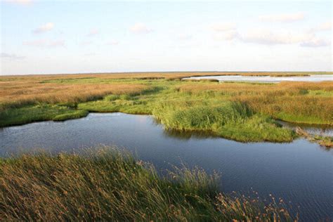 NASA Completes Intensive Study of Louisiana Wetlands Envirotech Online