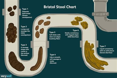 30 of the top infographics from /r/coolguides for you to favorget in 2020 | Bristol stool chart ...