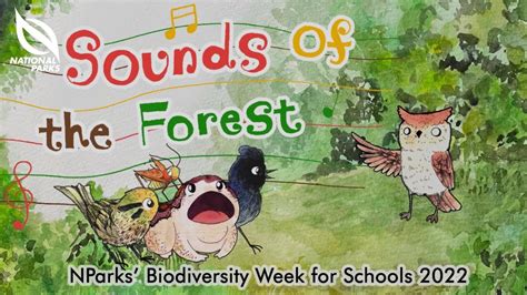 Sounds of the Forest - YouTube