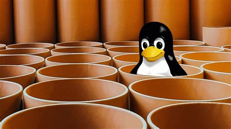 Linux Hits All-Time High of 3% of Desktop PC Share After 30 Years | Tom ...