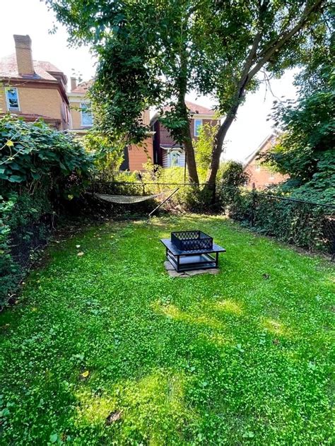 Homeowner shares striking before-and-after photos of their unconventional lawn: 'I don't care ...