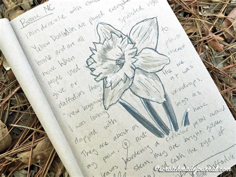 Nature Journaling for Kids: Alternative Nature Study Ideas ...