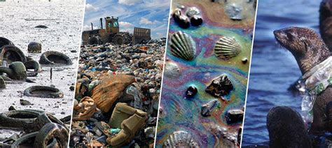 Ocean Pollution - Effects and Causes | WeNaturalists