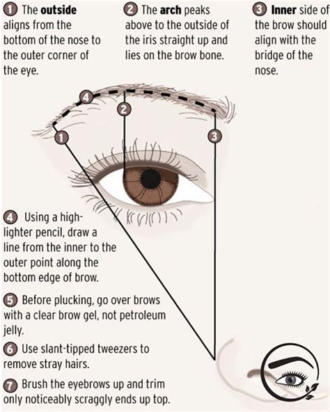 Mapping Your Eyebrows - I start by using the Golden Ratio to determine the beginning and ending ...