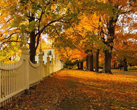 Vermont Fall Foliage Drives - Vermont Begins Here