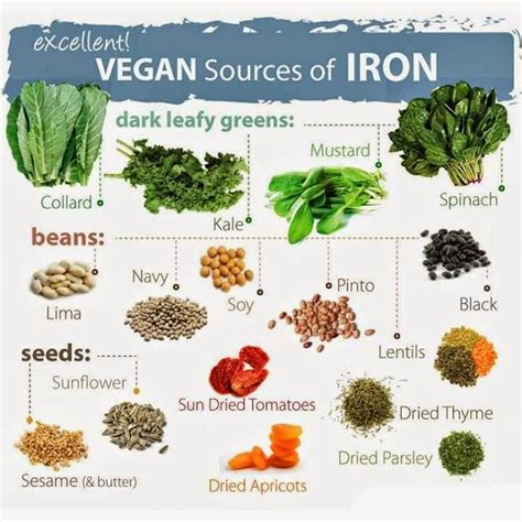 Iron in the Vegan Diet | Welcomenri