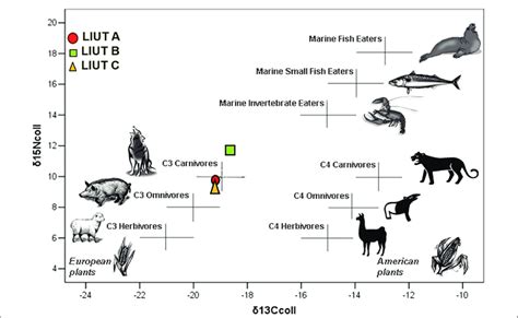 Paleodiet by stable isotope analysis (carbon and nitrogen isotopes in... | Download Scientific ...