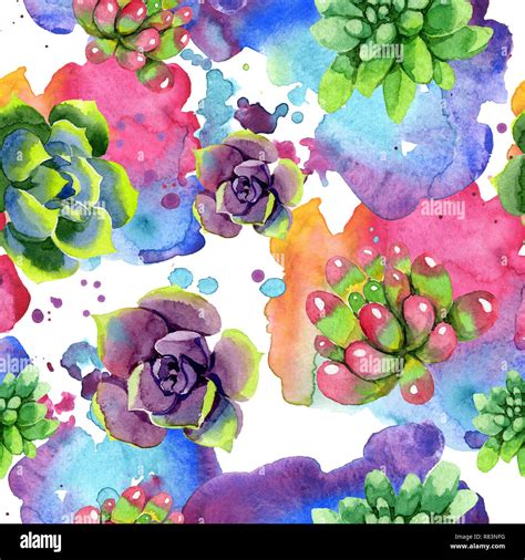 Watercolor Succulent Desktop Background - Best Succulent Ideas