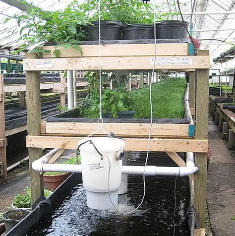 Advantages of Aquaponics System