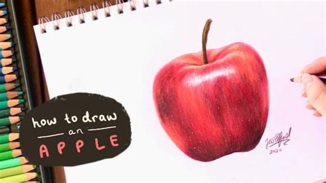 HOW TO DRAW A REALISTIC APPLE | with coloured pencils | Drawing apple, Apple pencil drawing ...