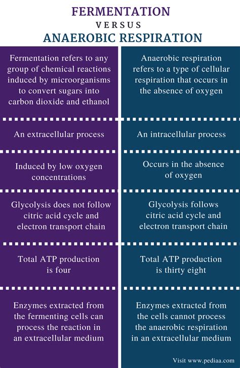 compare and contrast aerobic respiration, anaerobic respiration, and fermentation.