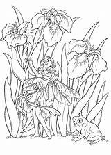 Flower Fairy Coloring Pages At GetColoringscom  Free Printable sketch template