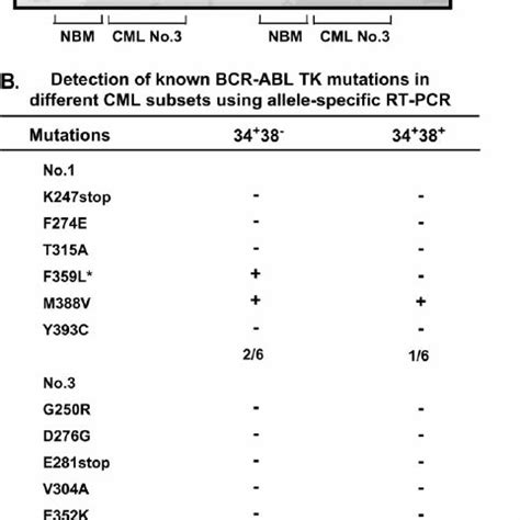 BCR – ABL tyrosine kinase (TK) domain mutations identifi ed by ...