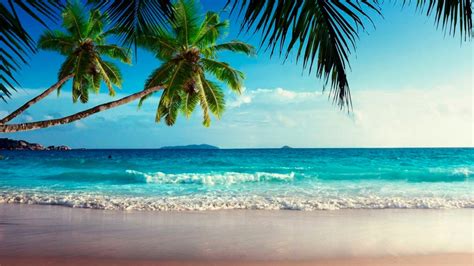 🔥 [80+] Windows Beach Wallpapers | WallpaperSafari