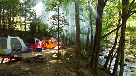 Tent Sites — Crabtree Falls Campground