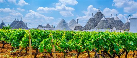 Puglia Wine Region Guide » Italian Wine Regions » CellarTours