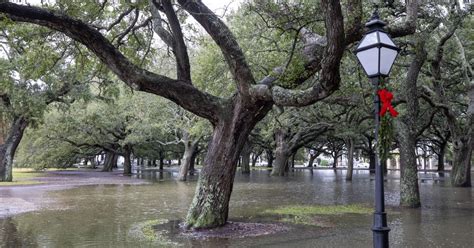 Charleston SC residents face more water, flooding | Letters to the ...