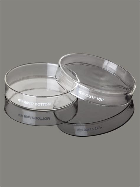 Petri Dish (SG Line) – Glasscolabs