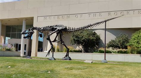 Rex Marks the Spot: Discovering Treasures at the Museum of the Rockies