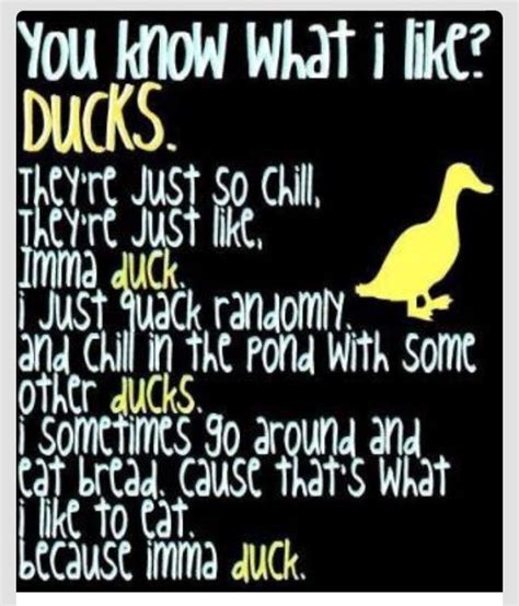 Funny Duck Quotes - ShortQuotes.cc