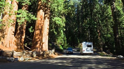 11 Best Spots for Sequoia National Park Camping