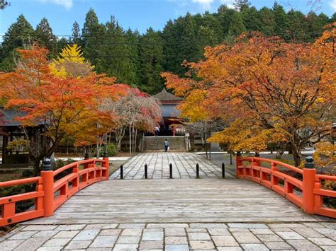 Koyasan Autumn Walking Tour - Japan Online Tour