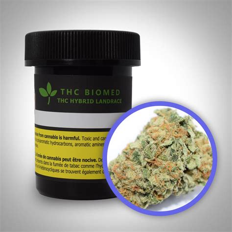 THC Hybrid – THC Biomed