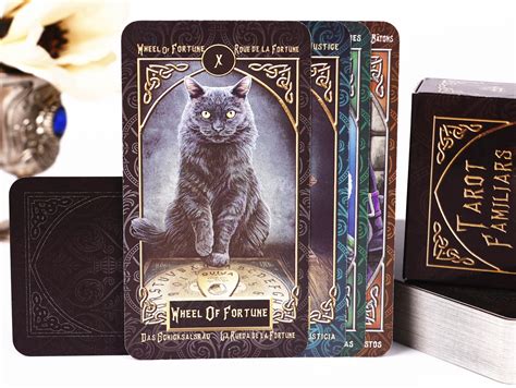 Animal tarot cards with book for beginners Mini Familiars | Etsy