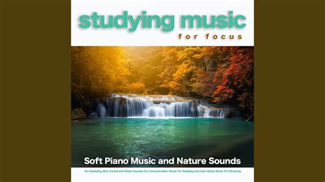 Calm Water Sounds and Piano Music for Studying - YouTube