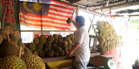 Malaysia Archives - Year of the Durian