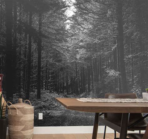 Black and white path forest mural wallpaper - TenStickers