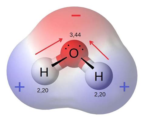 Understanding Atomic Numbers: From Basic Concepts to Advanced Applications