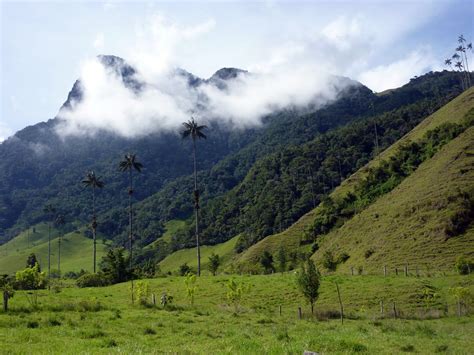 Valle de Cocora; Colombia