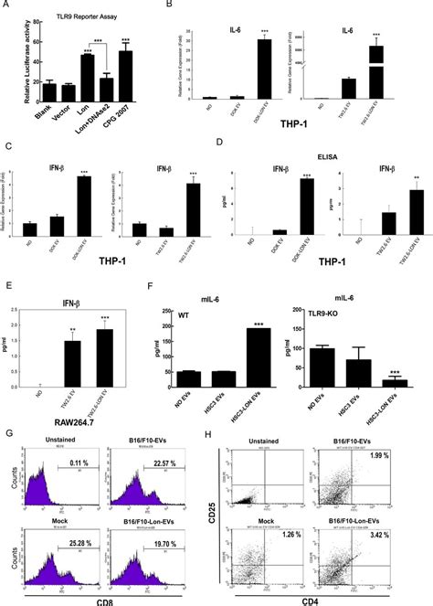 Mitochondrial Lon-induced mtDNA leakage contributes to PD-L1–mediated immunoescape via STING-IFN ...
