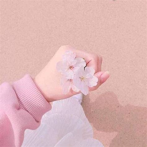 Pin on 桜