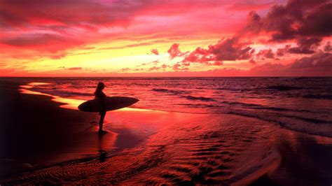 🔥 [40+] Beach Surfer Wallpapers | WallpaperSafari