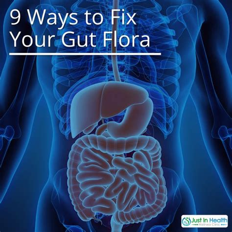 9 Ways to Fix Your Gut Flora | How Your Gut Flora Affects Your Health