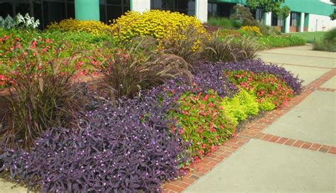 Landscaping Around Parking Areas: Tips for an Attractive and Safe ...