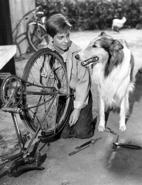 File:Lassie and Tommy Rettig 1956.JPG - Wikimedia Commons