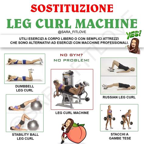 Leg curl alternative #legcurl #legcurlmachine #alternative #fitness #fitnesslife #training # ...